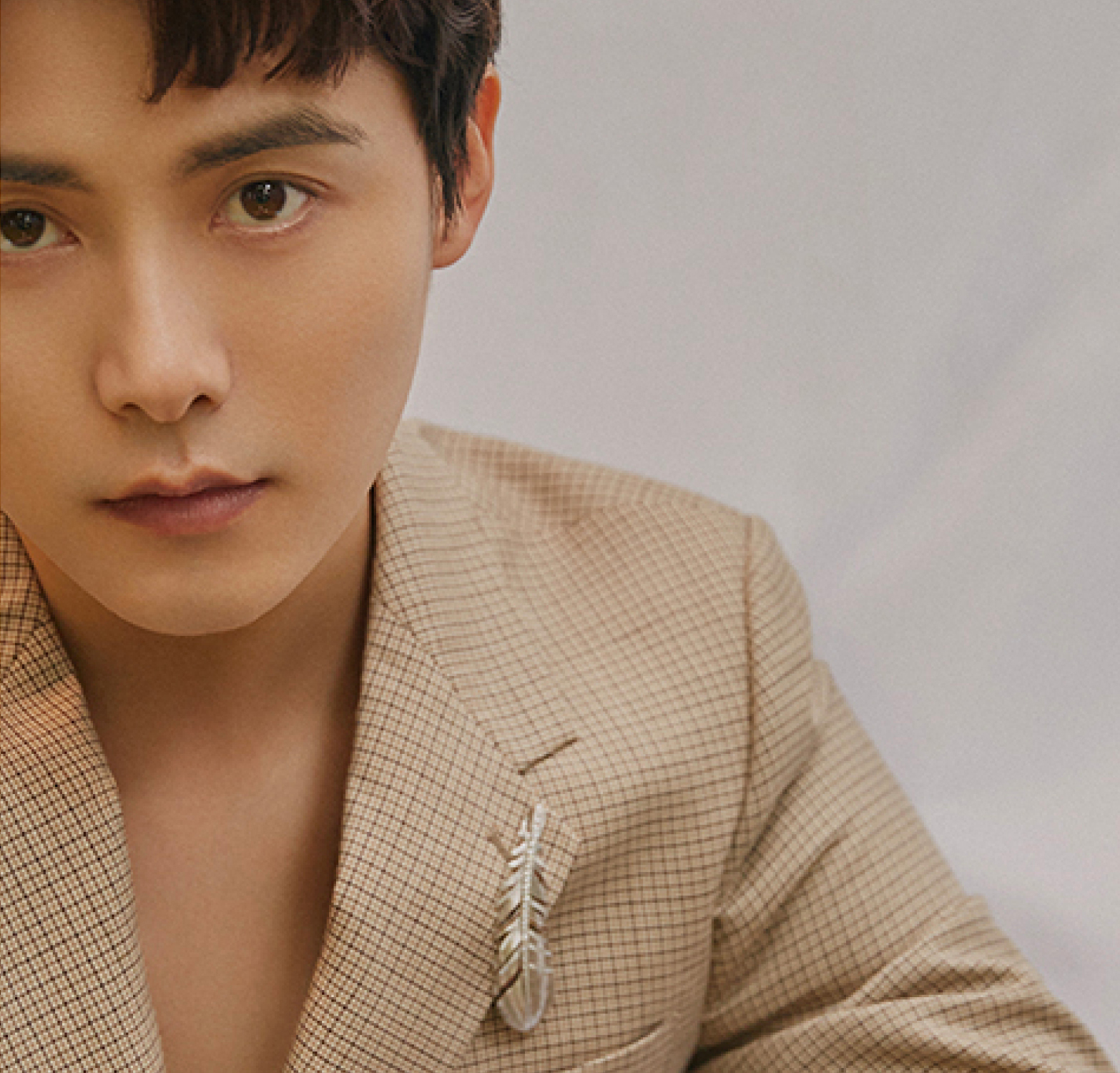 马天宇戴的戒指,马天宇羽毛胸针