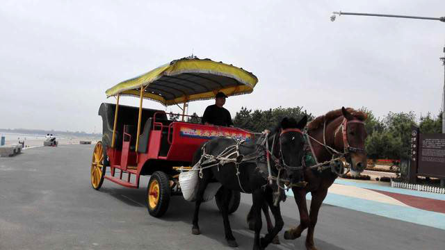 一轮骄阳升日照，二夜美梦伴海涛，三天渔家海鲜饱朋友同行欢笑多