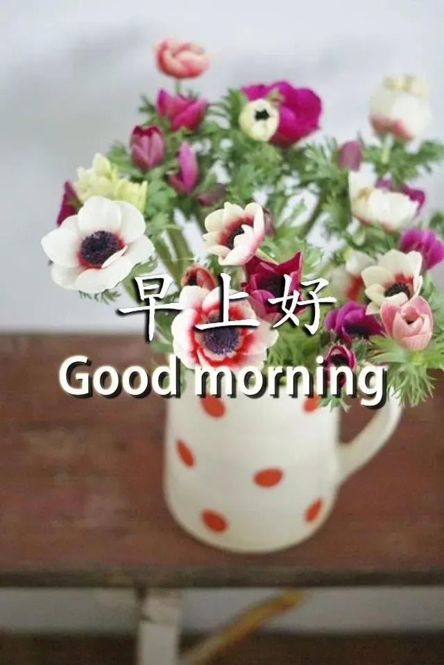 人生若只如初见早安,心语人生若如初见