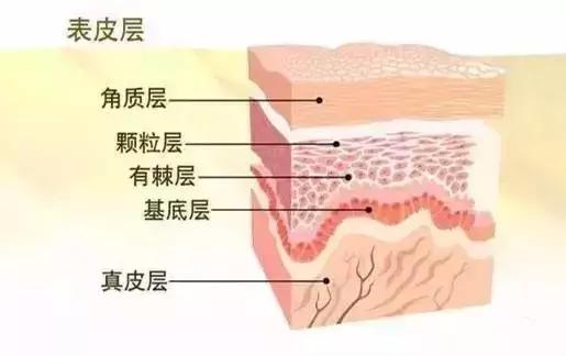 成都纹眉雾眉,纹绣雾眉培训