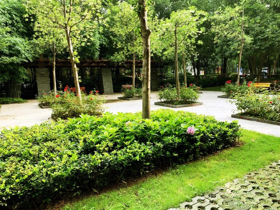 滨江豪宅升值空间多大啊,滨江豪宅案例