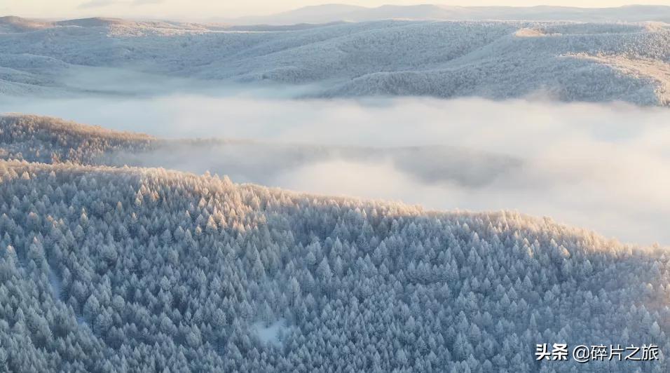 初雪适合游玩的地方,初雪旅游真实感受