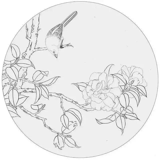 工笔花鸟的设色步骤有哪些,工笔花鸟设色方法视频