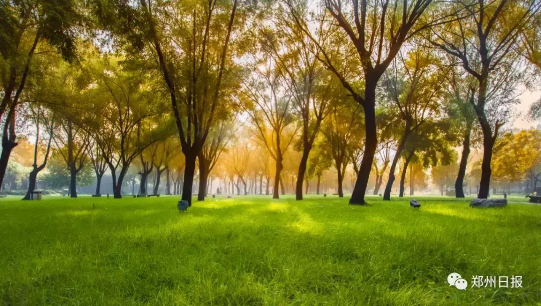 向全世界推介郑州,向全国推介郑州