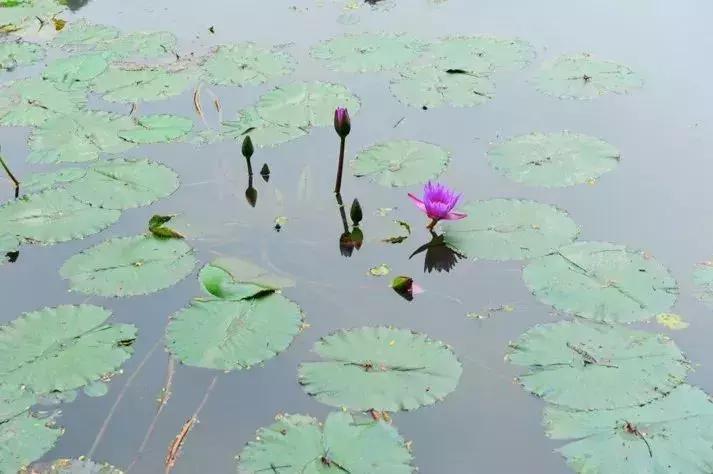 怎样使用偏振镜拍照,偏振镜拍人像的使用方法