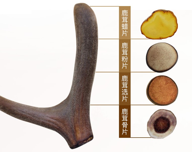 补肾精的中草药鹿茸怎么吃,滋阴补肾鹿茸