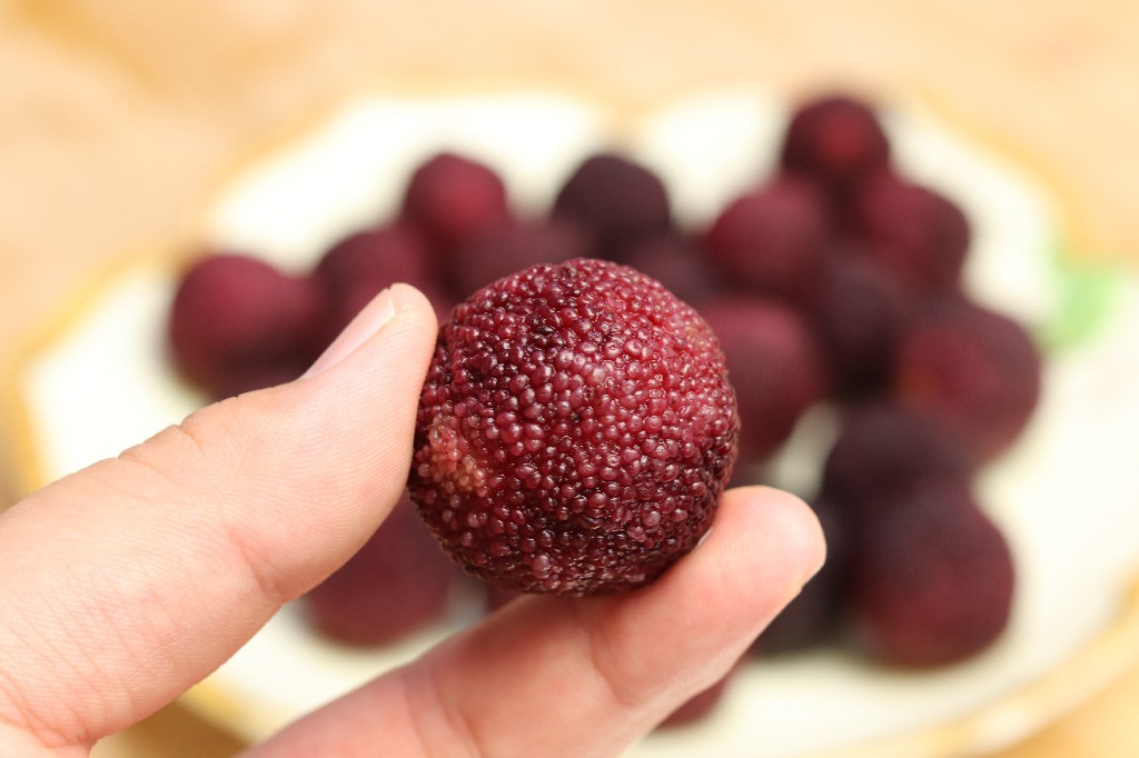 杨梅用盐水泡会有虫子爬出来吗,杨梅用盐水泡出虫子还可以吃吗