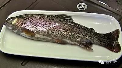 英国超市的鱼类有哪些,英国超市鱼的种类