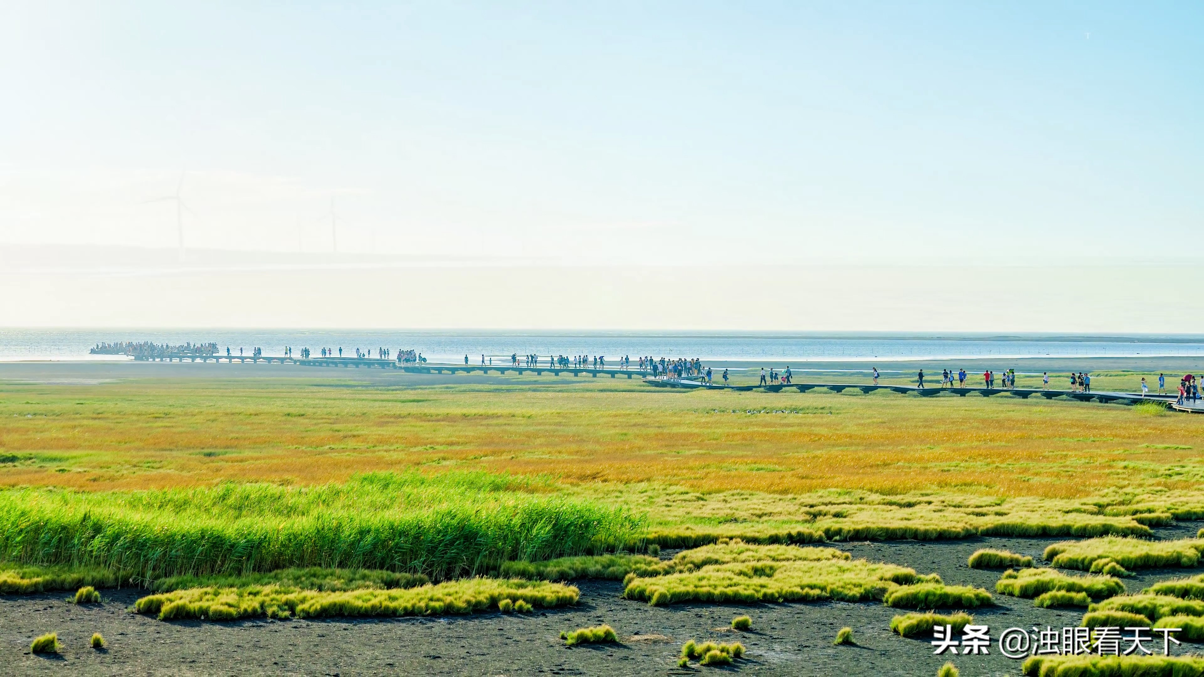 台中高美湿地在哪里,台中高美湿地交通