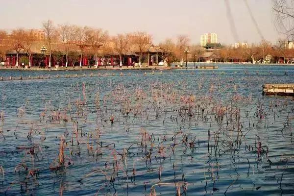 济南最好的山泉水,济南最甜的泉水