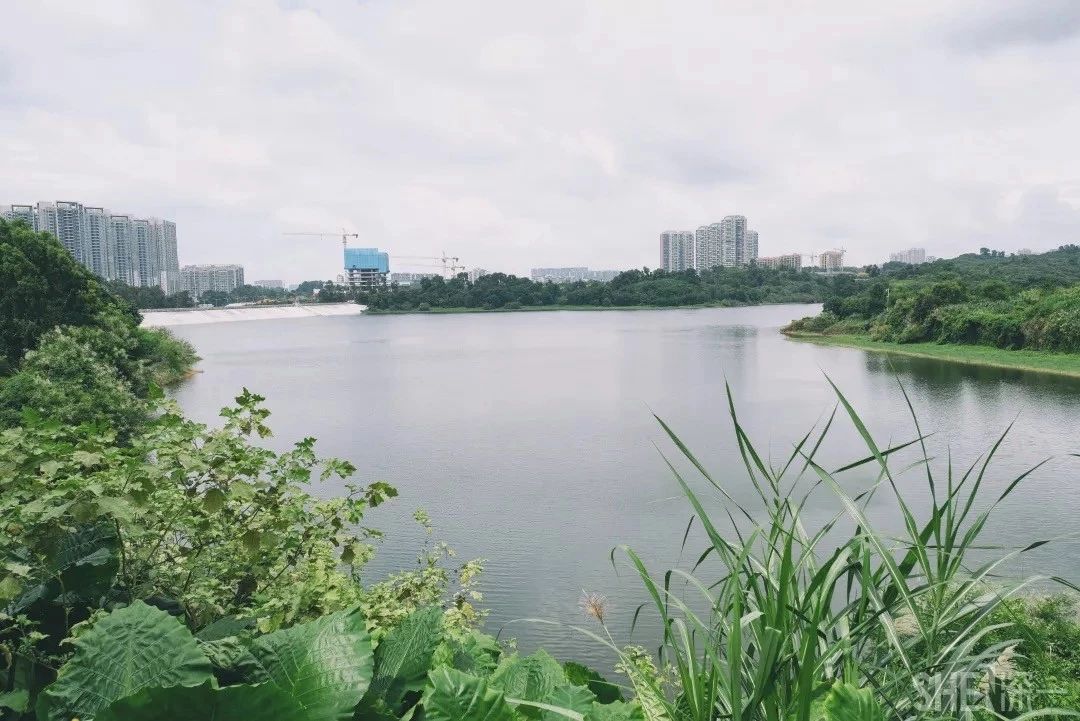 深圳游玩最佳地点排行榜前十名,深圳适合小孩游玩最佳地方推荐