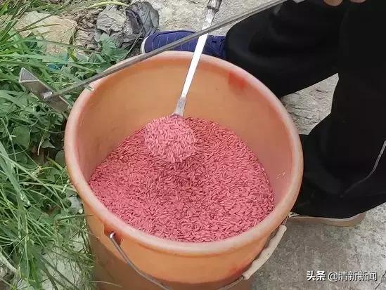 家里老鼠多有什么吓老鼠的神器,防止家里老鼠进屋