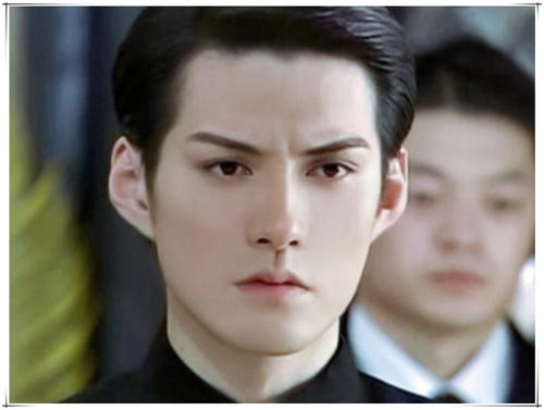 美人如文章,给明星美人评分,莫妮卡严屹宽,曾黎,孙艺珍