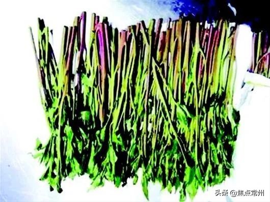 暑假来了有哪些潜在的危险,暑假新型毒品