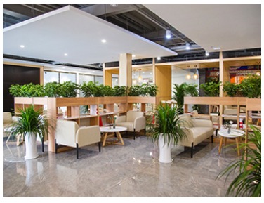 北京画室那么多怎么选到靠谱的,北京华卿画室和水木源画室哪个好