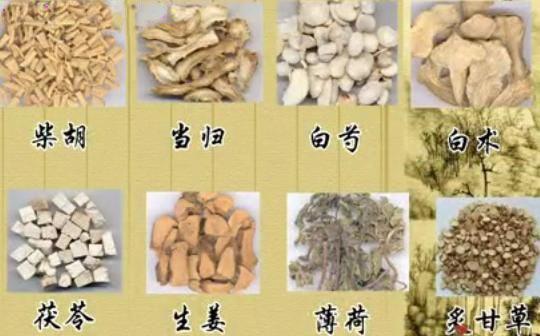 加味逍遥丸和逍遥丸的区别和功效,逍遥丸和丹栀逍遥丸能一起吃吗