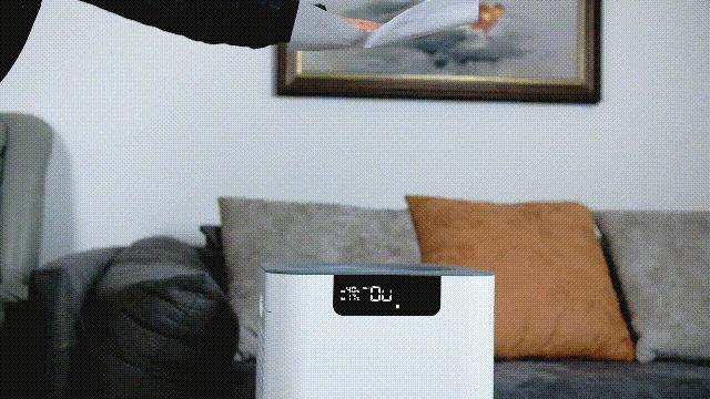 空气净化器能改善鼻炎么,空气净化器能改善干燥吗