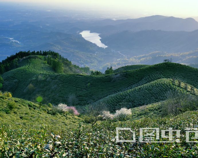 信阳人和河南人的关系,河南人与信阳人