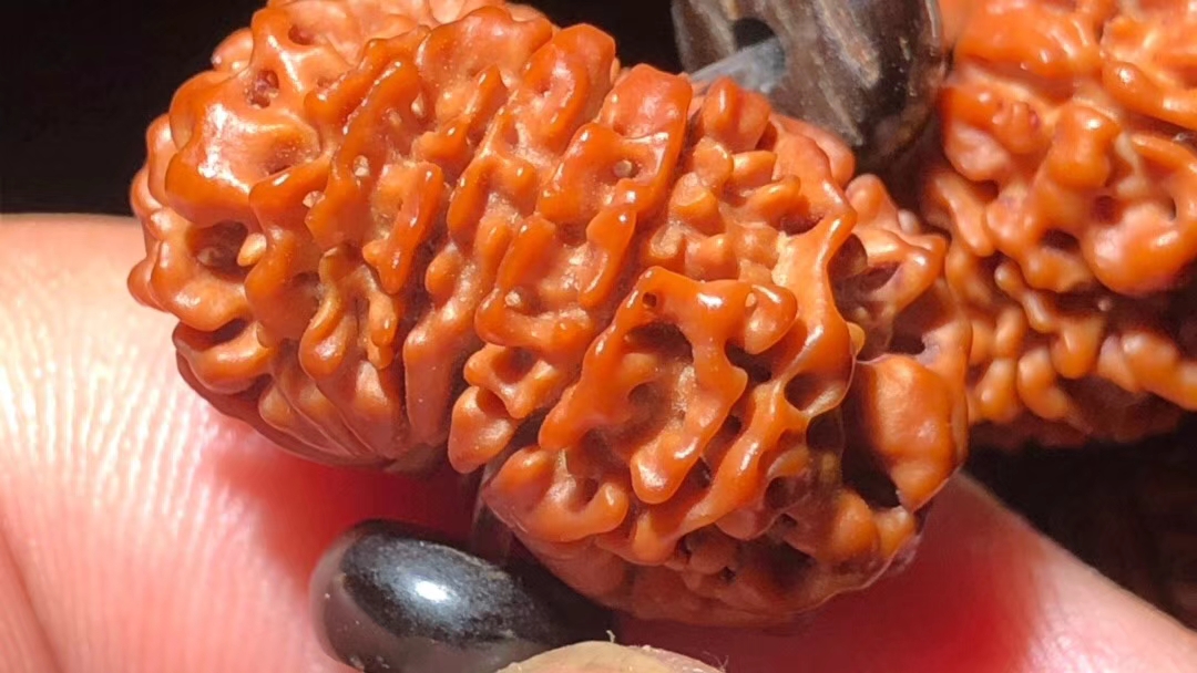 金刚菩提最全纹路解析,大金刚菩提纹路种类图解