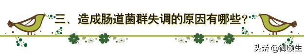 肠道菌群紊乱怎么改善和调理,肠道菌群紊乱如何快速调理