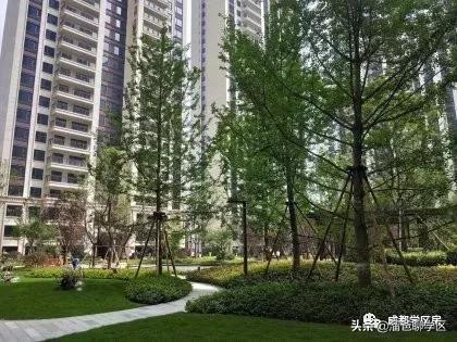 读茶店子小学的小区有哪些,茶店子学区房有哪些