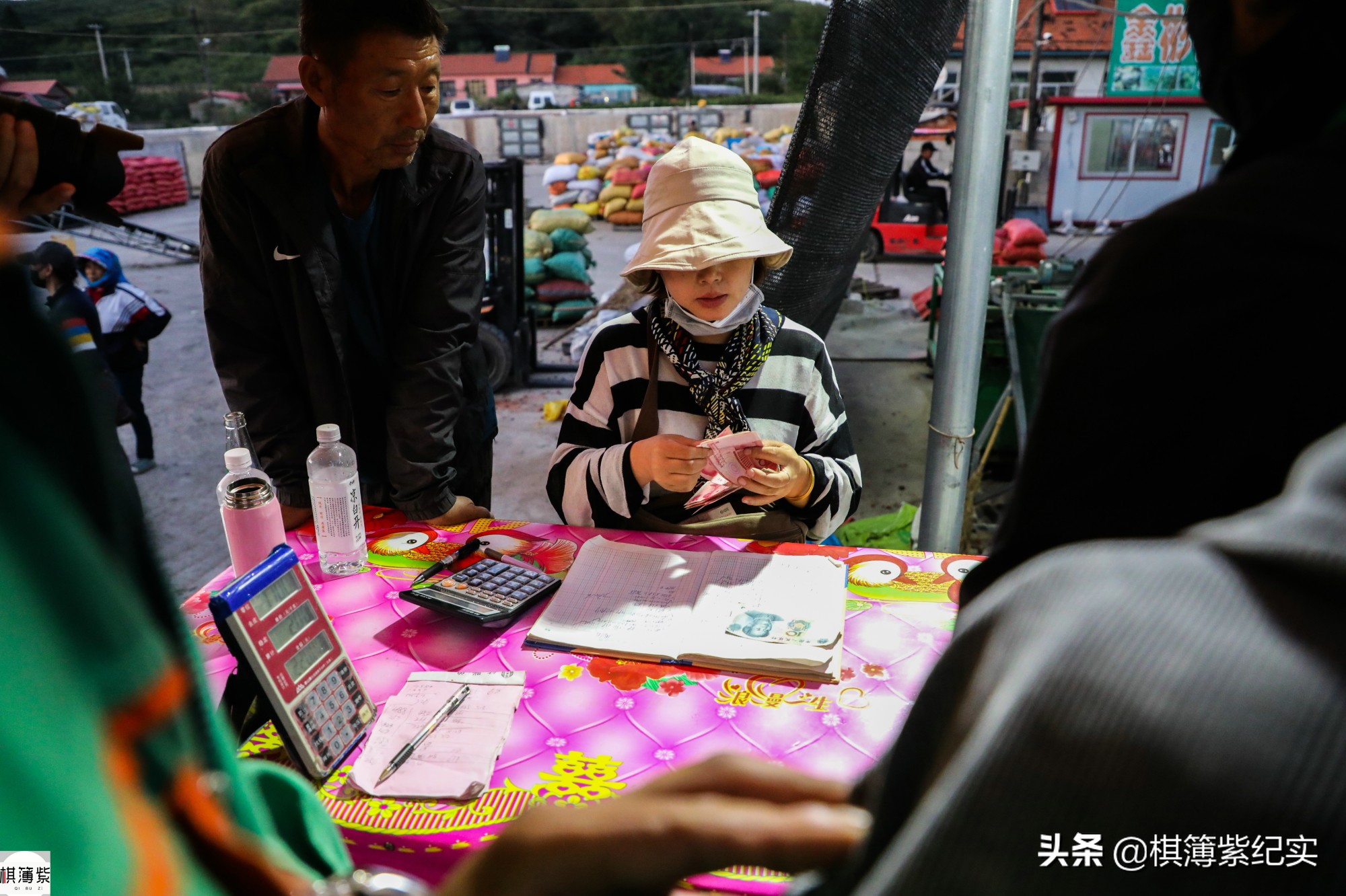 百元钞票每天要数一万张！想扫码？不行，卖板栗的农民只认现金