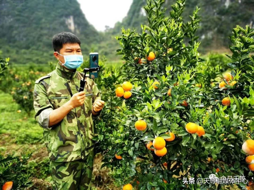 天等抢劫,天等抢钱案