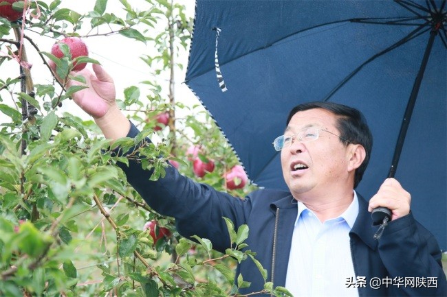 农村金融再迎技术突破！网商银行卫星遥感技术升级解决陕西果农*款贷**难