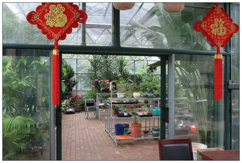 合肥二中艺术班怎么样,合肥二中音乐特长生报考要求