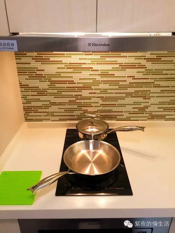 苏州带宠物去的古镇,苏州小众宠物乐园推荐