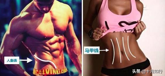 腹部腰部赘肉提臀最有效的方法,腹部大肚腩怎么减