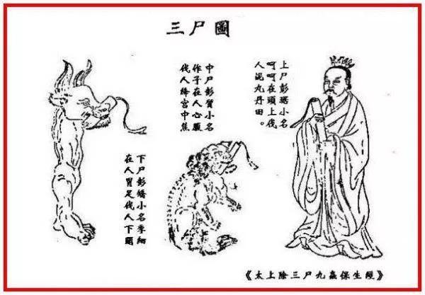 从米里头的虫子说起：三尸虫增贪嗔痴