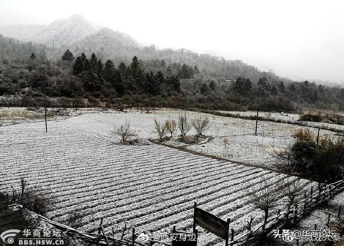 陕西13岁女孩遭姑父暴打,平利一女生遭猥亵