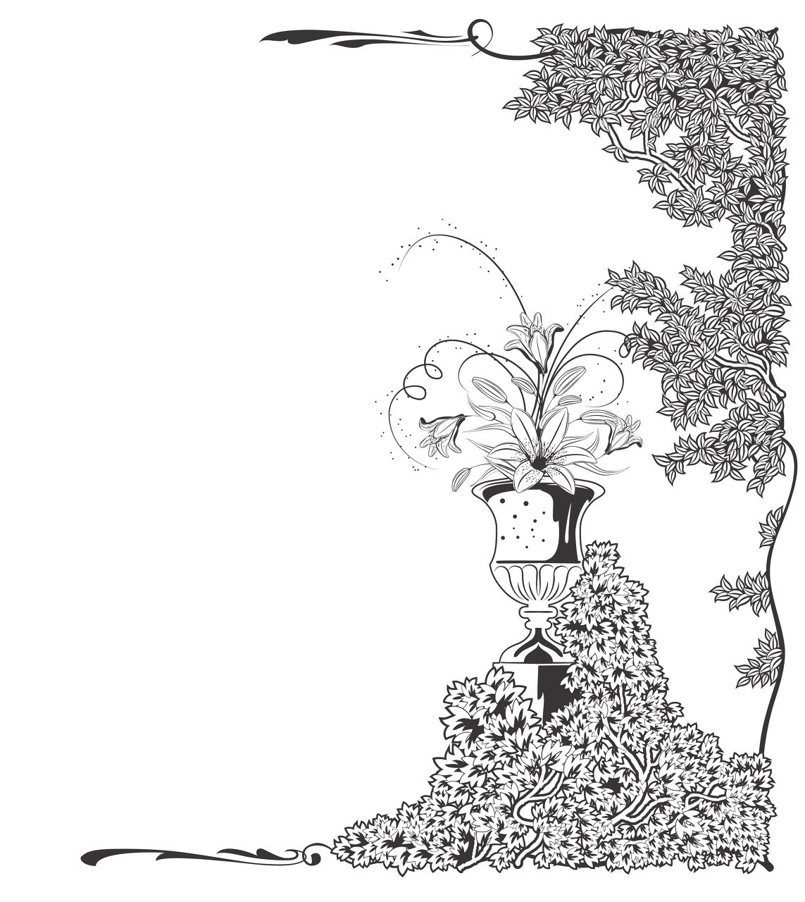 百合花的魅力,百合花的品质