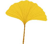 漫步西城|沿着千年时光的脉络，遇见广内~