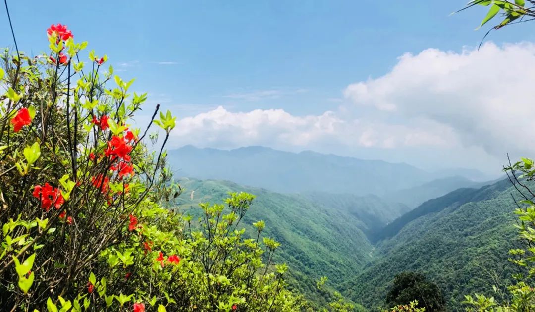 贺州八步区桂岭镇打卡景点,贺州网红景点排行榜