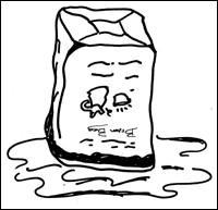 玫瑰不容易种活,玫瑰种植易养活