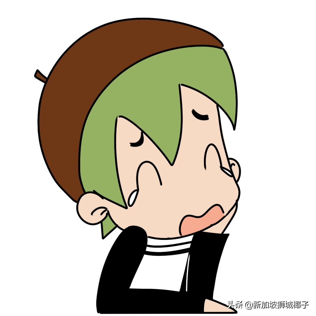 如果胜新加坡能进世界杯吗,新加坡有没有进世界杯