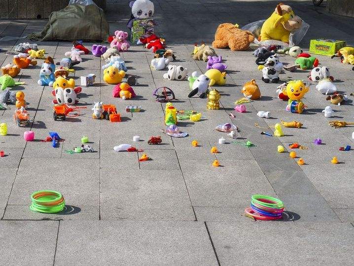 什么,乌龟居然也是保护动物?如何正确挑选一只美丽、安全的乌龟