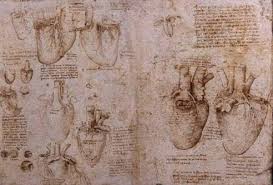 从确立到演变的过程,从象形字开始一直演变的过程