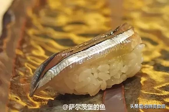 各种寿司纯鲜三文鱼刺身,日本传统寿司都用什么鱼