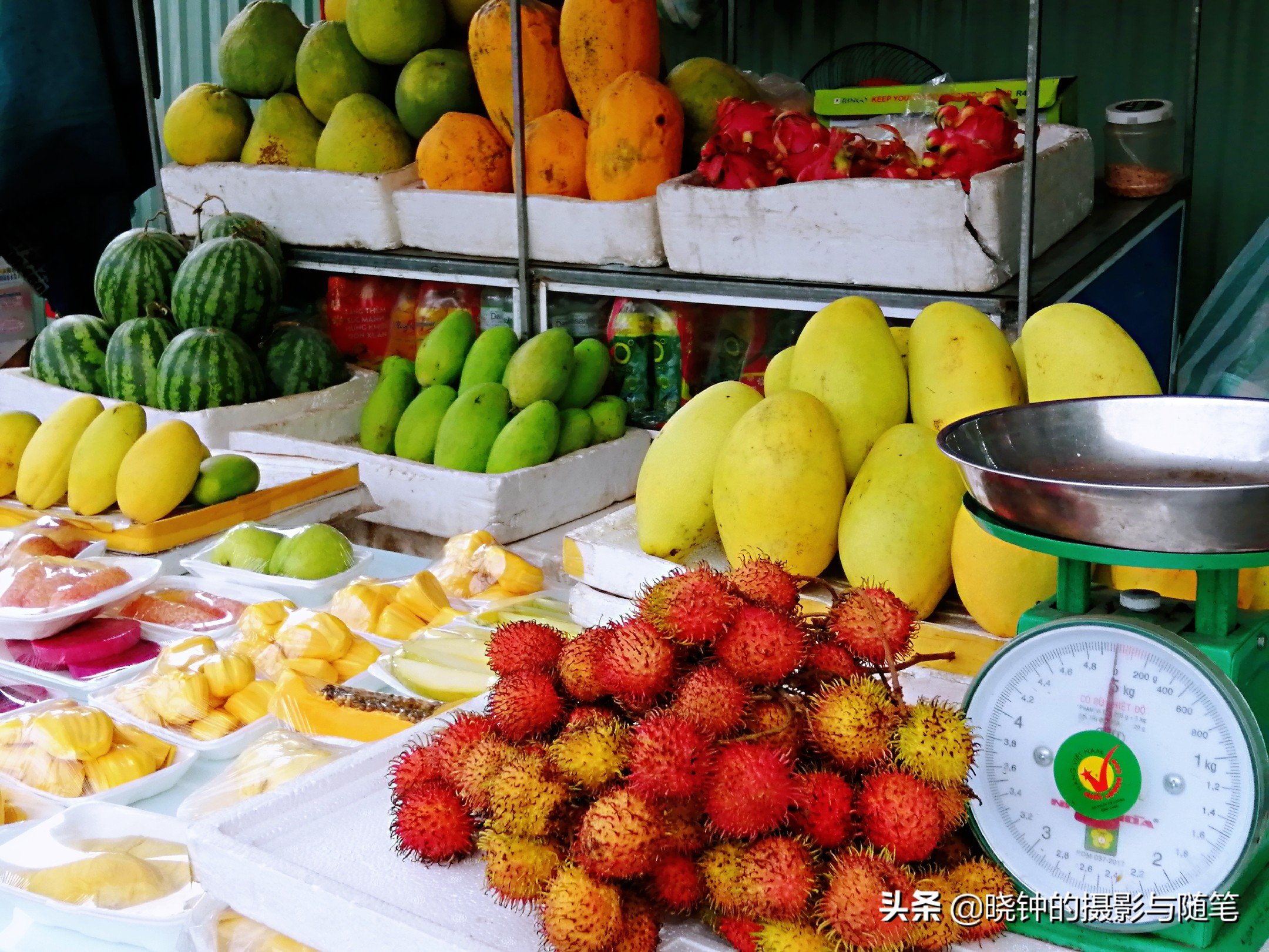 越南哪些水果贵,越南都有哪些好吃的水果