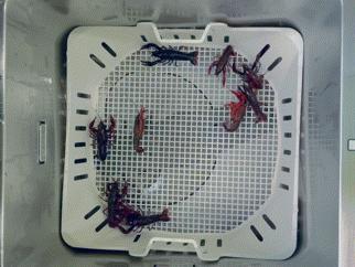 水槽洗碗机到底实不实用,不吹不黑评测视频