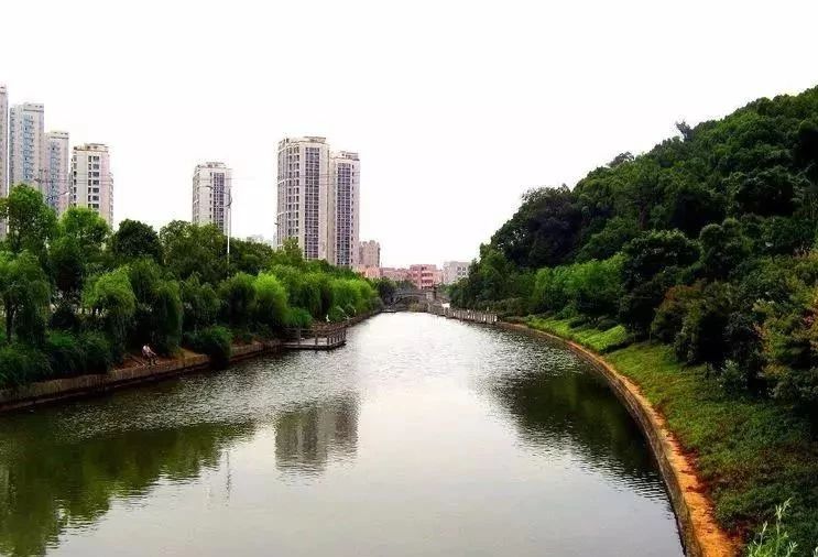 顶着亚洲第一的华侨城,要在温州城心造一个网红城市?