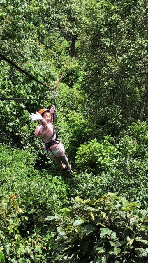 清迈大象义工,清迈大象救助营