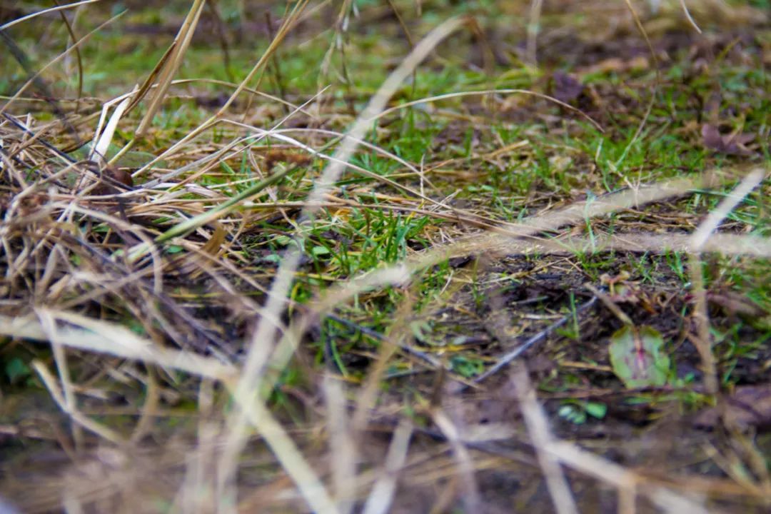 门窗比例不协调，门口出现的东西更不协调，秦岭这栋老房子有故事