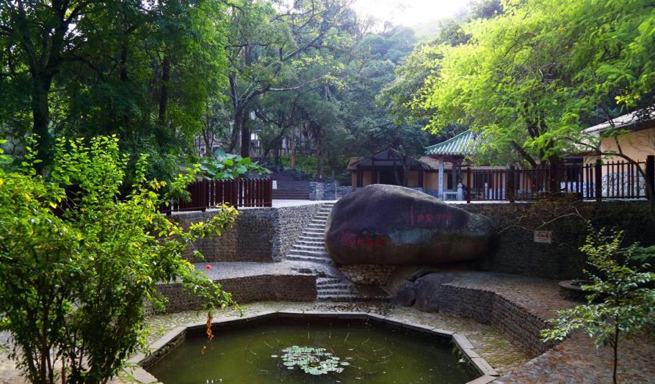 灵芝药浴,十几种药浴温泉