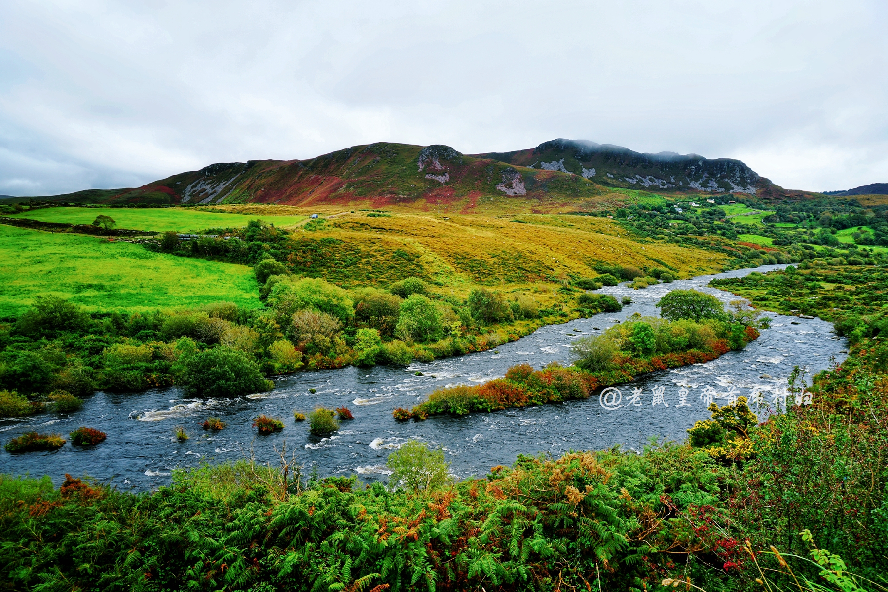 爱尔兰为什么只能结婚不能离婚,爱尔兰为什么结婚这么难