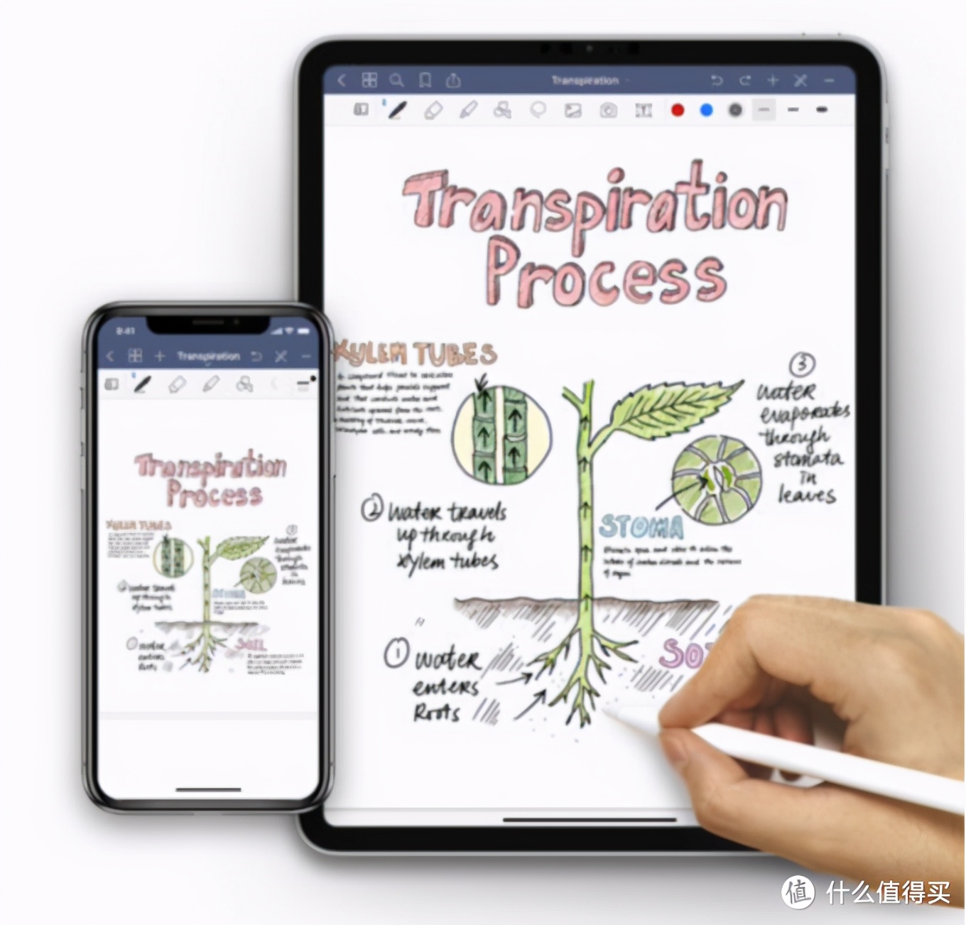 ipadpro有哪些好用的相关配件,ipad上有哪些实用的令人惊艳的app