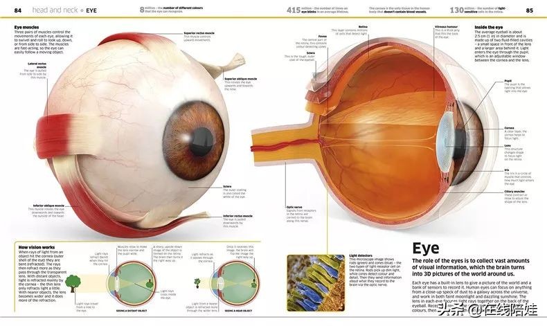 dk知识大百科全套,dk知识大百科书金银版